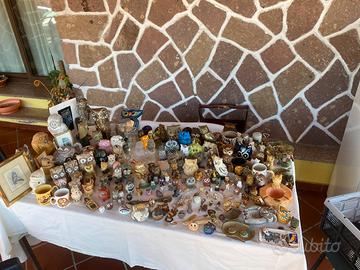 Collezione gufi e civette