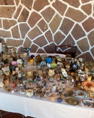 Collezione gufi e civette