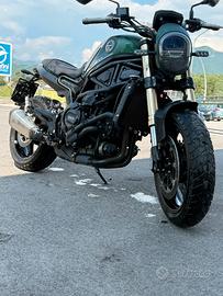 Leoncino benelli 800