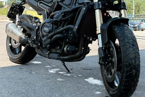 Leoncino benelli 800