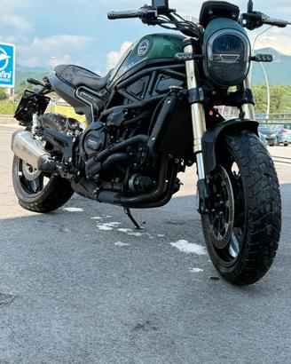 Leoncino benelli 800