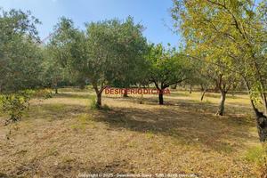 Terreno, Centro di Villagrazia, Carini.