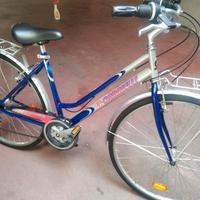 bici  28  Carnielli