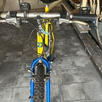 Bicicletta Daccordi mountain bike