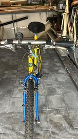 Bicicletta Daccordi mountain bike