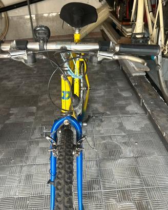 Bicicletta Daccordi mountain bike