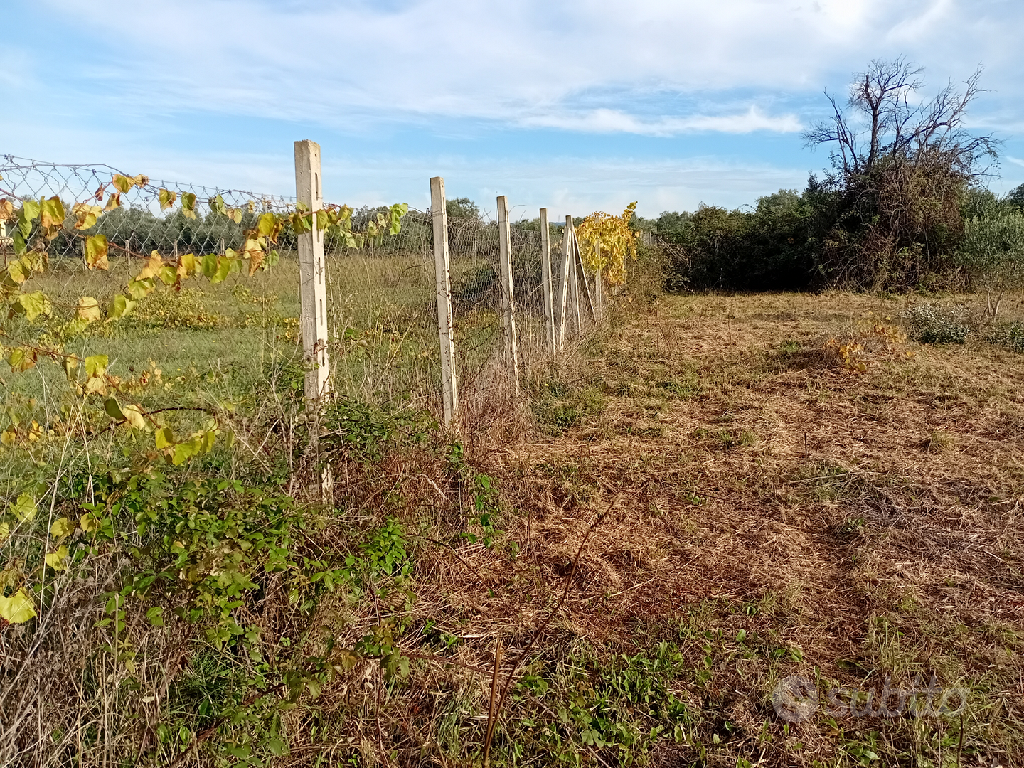 Terreno agricolo - Vista 3