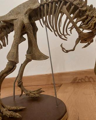 Dinosauro T-Rex