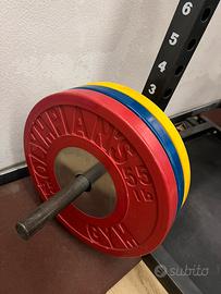 Dischi bumper wighifting