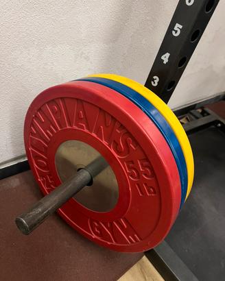 Dischi bumper wighifting