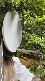 Paraboliche satellitari