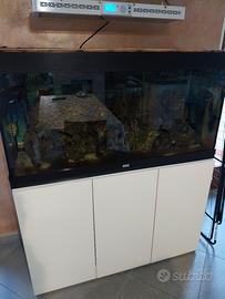 acquario di acqua salata