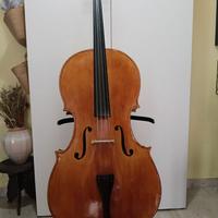 Violoncello liuteria Ardino
