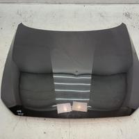 Cofano anteriore bmw f20 f21 2010-2019 41007290942