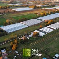 Terreno agricolo 3 HA fronte strada | TR467