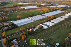 Terreno agricolo 3 HA fronte strada | TR467