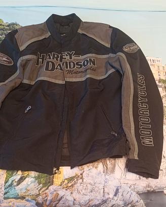 Giacca Harley Davidson 97357-11VM