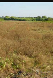 Terreno agricolo