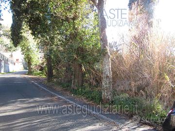 Terreno Agricolo Livorno [A4314864]