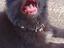 Immagine 6