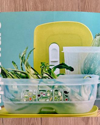 Contenitori di plastica Tupperware nuovi