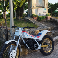 Fantic303