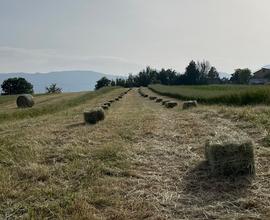 Terreno agricolo accorpato attaccato strada