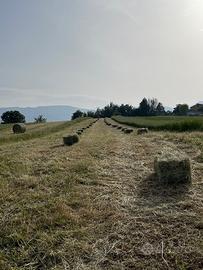 Terreno agricolo accorpato attaccato strada