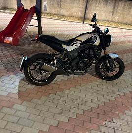 Benelli Leoncino 250