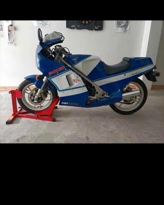 Suzuki RG Gamma 250