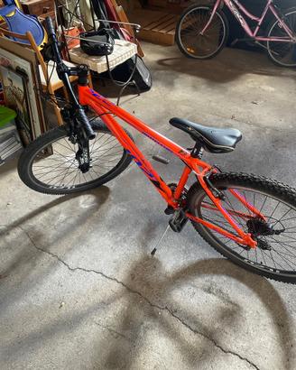 Mountain Bike Bottecchia