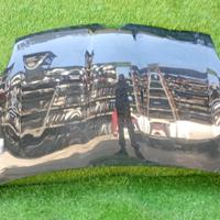 COFANO ANTERIORE FIAT Panda Cross (14>)