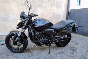 hornet 600 cb 2010