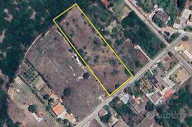 Terreno agricolo a Ottava