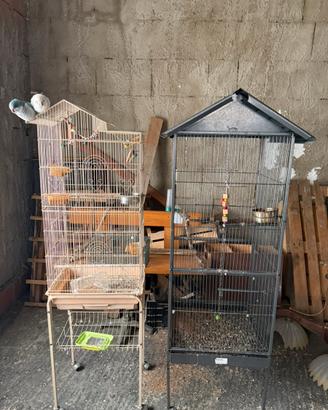 Coppia di Voliere con Ruote per Uccelli