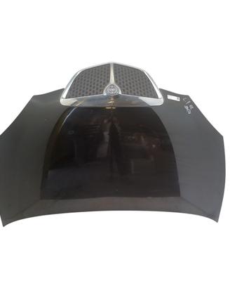 COFANO ANTERIORE LANCIA Ypsilon 2° Serie 51872629