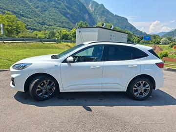 FORD Kuga 2.0 EcoBlue Hybrid 150 CV 2WD ST-Line