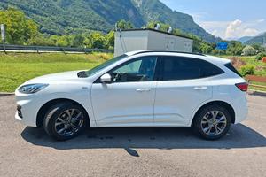 FORD Kuga 2.0 EcoBlue Hybrid 150 CV 2WD ST-Line