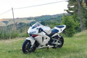 Honda CBR 600 RR 