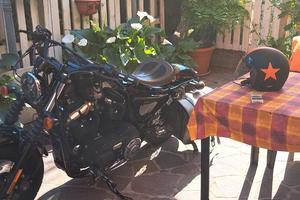 HARLEY DAVIDSON Forty-Eight