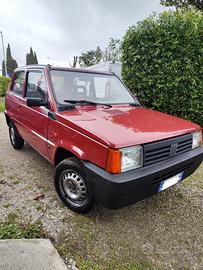 Fiat panda young