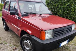 Fiat panda young
