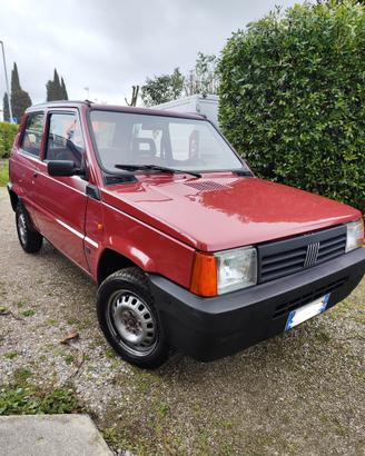 Fiat panda young