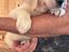 Immagine 3