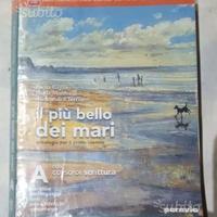 Il più bello dei mari A (9788839521972)