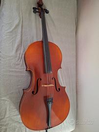 Violoncello da studio