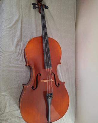 Violoncello da studio