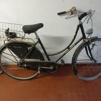 Bicicletta olandese 