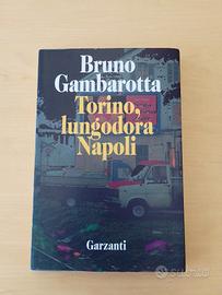 Torino, lungodora Napoli - Bruno Gambarotta 