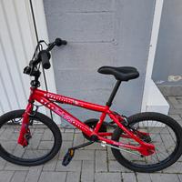 Coppia di Bici